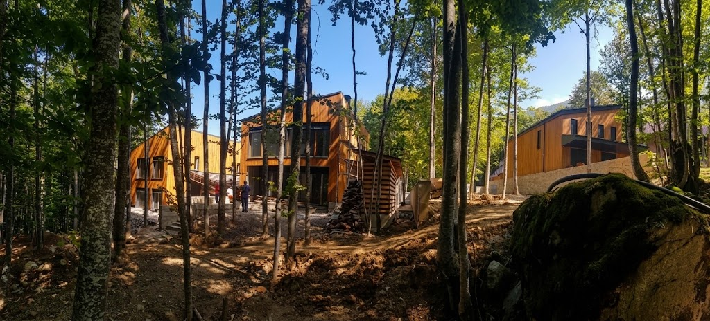 Contemporary buildings with vertical timber cladding set among forest trees